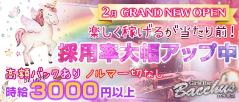 Bacchus~バッカス~【公式求人情報】(歌舞伎町ガールズバー)の求人・体験入店情報