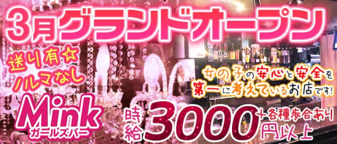 Girl's Bar MINK(ガールズバーミンク)【公式求人情報】(八王子ガールズバー)の求人・バイト・体験入店情報