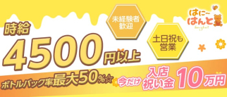 はにーはんと【公式求人情報】