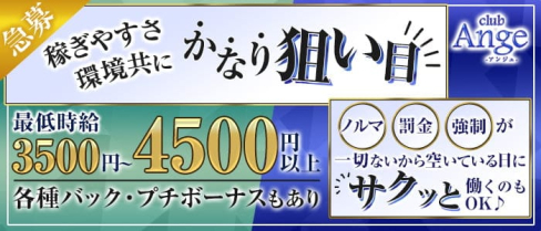 【大泉学園】New Club Ange(アンジュ)【公式求人・体入情報】(練馬キャバクラ)の求人・体験入店情報