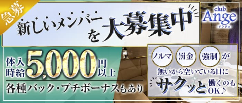 【大泉学園】New Club Ange(アンジュ)【公式求人・体入情報】(練馬キャバクラ)の求人・体験入店情報