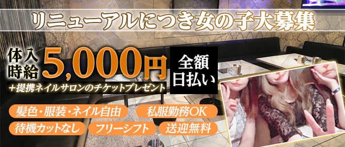 川崎駅 Leonessa レオネッサ 公式求人 体入情報 川崎 ガールズバー 公式求人 ガールズバーバイトなら 体入ショコラ