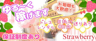 PUB CLUB Strawberry(パブクラブストロベリー)【公式求人・体入情報】(神田ラウンジ)の求人・体験入店情報