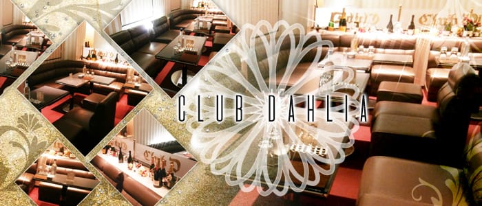Club Dahlia～クラブ ダリア～のキャバクラ体入