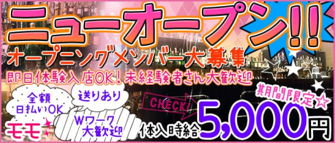 モモ【公式求人情報】(歌舞伎町ガールズバー)の求人・バイト・体験入店情報
