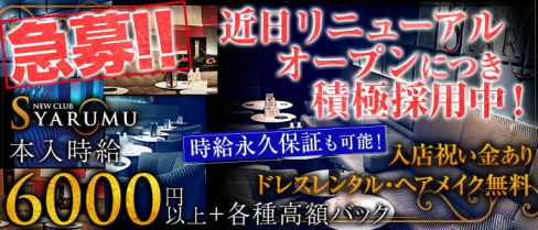 SYARUMU(シャルム)【公式求人情報】(横浜キャバクラ)の求人・バイト・体験入店情報