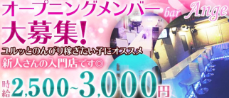 新人専門ガールズバー アンジュ【公式求人・体入情報】(北千住ガールズバー)の求人・体験入店情報