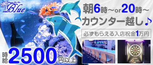 【朝・夜】Girl's Bar Blue(ブルー)【公式求人情報】(歌舞伎町ガールズバー)の求人・バイト・体験入店情報