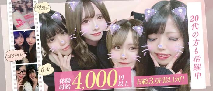 Girl's Bar ドルチェリア(高田馬場ガールズバー)の求人・体験入店情報