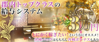 Lounge Cinderella(シンデレラ)【公式求人・体入情報】(月江寺キャバクラ)の求人・体験入店情報
