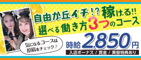 ガールズバー BABEL(バベル)【公式求人・体入情報】(自由が丘ガールズバー)の求人・体験入店情報
