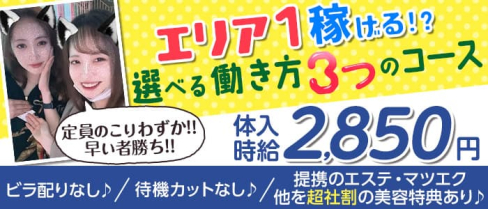 ガールズバー BABEL(バベル)【公式求人・体入情報】(自由が丘ガールズバー)の求人・体験入店情報