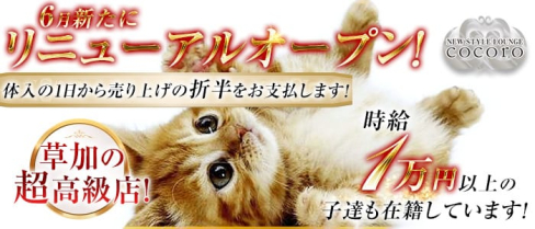 ココロ【公式求人情報】(草加キャバクラ)の求人・体験入店情報