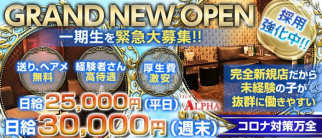 CLUB ALPHA(アルファ)【公式求人・体入情報】(千葉姉キャバ・半熟キャバ)の求人・体験入店情報