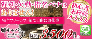 姉キャバ☆駅前西口店【公式求人・体入情報】(神田姉キャバ・半熟キャバ)の求人・体験入店情報