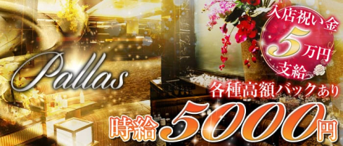 Pallas(パラス)【公式求人情報】(難波キャバクラ)の求人・バイト・体験入店情報