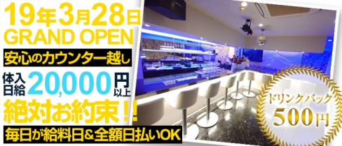 Bunny's BAR 濱(バニーズバーハマ)【公式求人情報】(関内ガールズバー)の求人・バイト・体験入店情報
