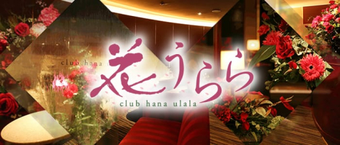 花うらら【公式求人情報】(中洲キャバクラ)の求人・バイト・体験入店情報