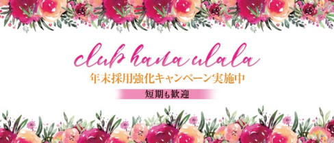 花うらら【公式求人情報】(中洲キャバクラ)の求人・バイト・体験入店情報