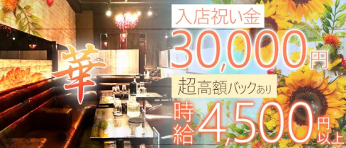華(ハナ)【公式求人情報】(本厚木キャバクラ)の求人・バイト・体験入店情報