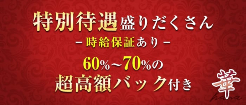 華(ハナ)【公式求人情報】(本厚木キャバクラ)の求人・体験入店情報