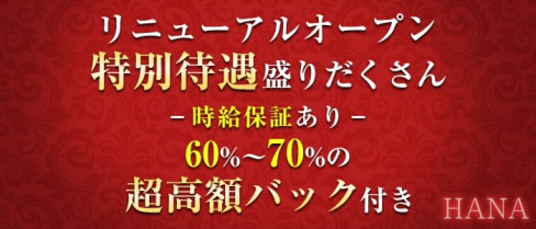 HANA(ハナ)【公式求人情報】(本厚木キャバクラ)の求人・体験入店情報