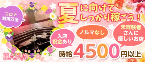 HANA(ハナ)【公式求人情報】(本厚木キャバクラ)の求人・体験入店情報