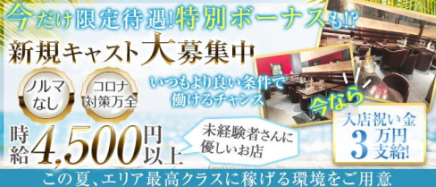 HANA(ハナ)【公式求人・体入情報】(本厚木キャバクラ)の求人・体験入店情報