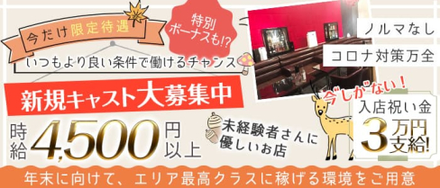 HANA(ハナ)【公式求人・体入情報】(本厚木キャバクラ)の求人・体験入店情報