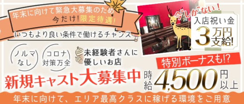 HANA(ハナ)【公式求人・体入情報】(本厚木キャバクラ)の求人・体験入店情報