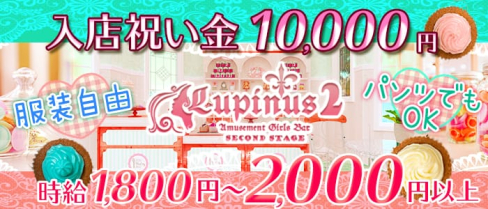 Lupinus2(ルピナスツー)【公式求人情報】(草加ガールズバー)の求人・バイト・体験入店情報