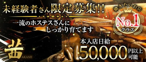 茜 ~CLUB AKANE~(アカネ)【公式求人・体入情報】(六本木クラブ)の求人・体験入店情報