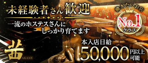 茜 ~CLUB AKANE~(アカネ)【公式求人・体入情報】(六本木クラブ)の求人・体験入店情報