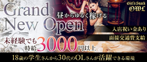 Girl’s Snack OWL (アウル)【公式求人情報】(池袋スナック)の求人・体験入店情報