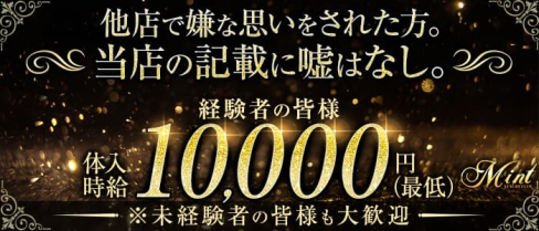 LUXURY CLUB MINT(ミント)【公式求人・体入情報】(上野キャバクラ)の求人・体験入店情報
