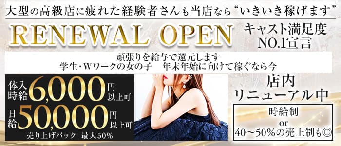 【浜松町】PierSide（ピアサイド）(五反田キャバクラ)の求人・体験入店情報