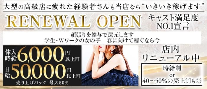 【浜松町】PierSide（ピアサイド）(五反田キャバクラ)の求人・体験入店情報