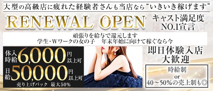 【浜松町】PierSide（ピアサイド）(五反田キャバクラ)の求人・体験入店情報