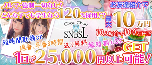 ChouChou 新橋SL店(シュシュ)【公式求人情報】(新橋キャバクラ)の求人・バイト・体験入店情報