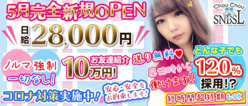 ChouChou 新橋SL店(シュシュ)【公式求人情報】(新橋キャバクラ)の求人・体験入店情報