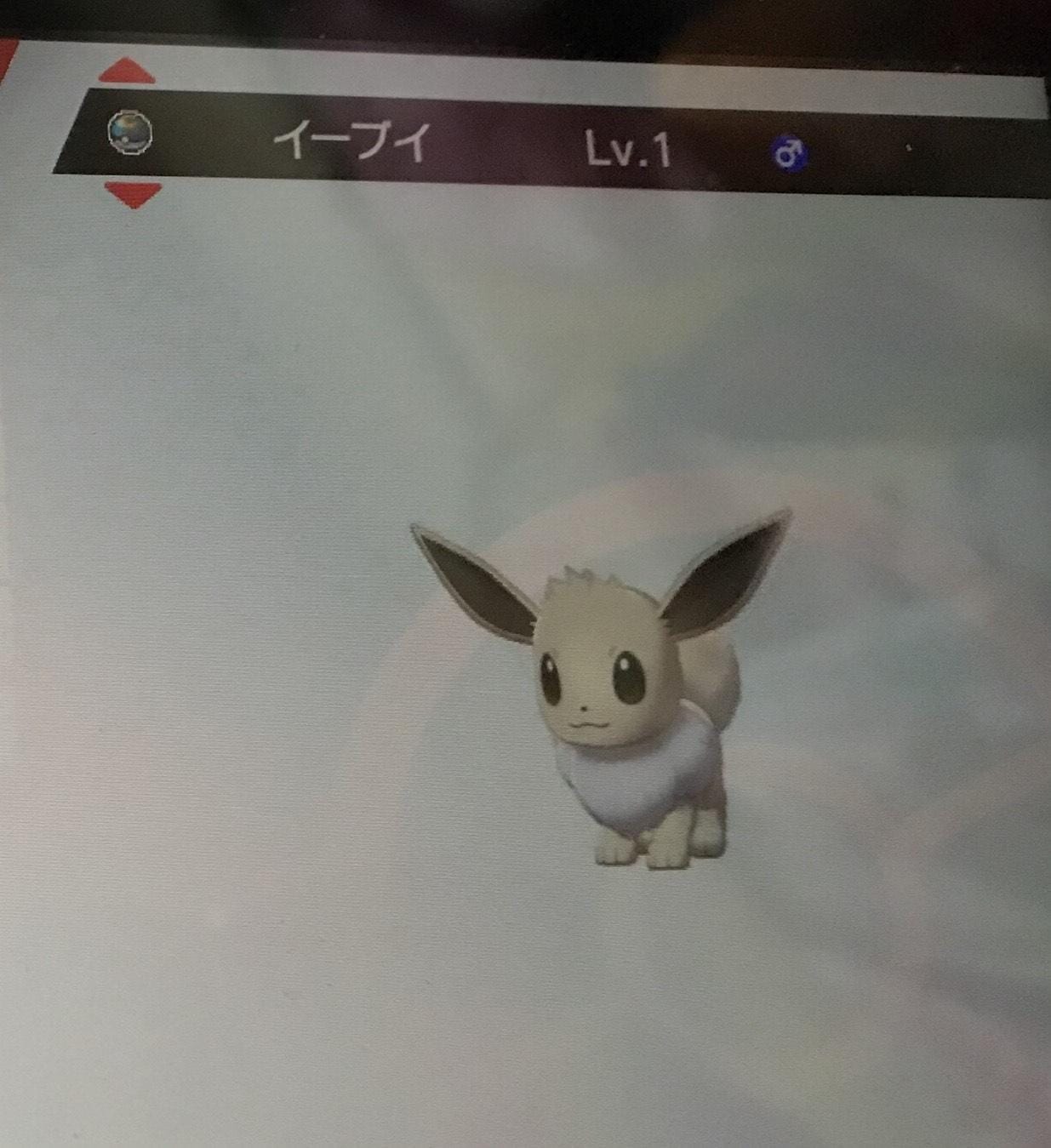 10ページ目 Chouchou 新橋sl店 シュシュ 公式求人 体入情報 恵比寿 のスタッフブログ キャバクラ求人 体入ショコラ