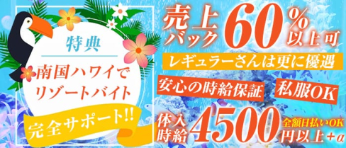 e-cute(イーキュート)【公式求人情報】(関内キャバクラ)の求人・バイト・体験入店情報