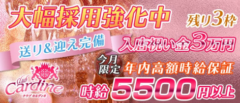 club Cardine(カルディネ)【公式求人情報】(草加キャバクラ)の求人・バイト・体験入店情報