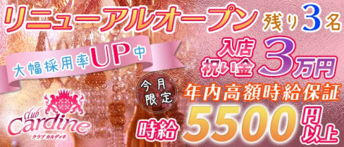 club Cardine(カルディネ)【公式求人情報】(草加キャバクラ)の求人・体験入店情報