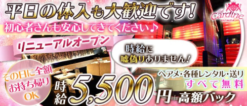 club Cardine(カルディネ)【公式求人情報】(草加キャバクラ)の求人・バイト・体験入店情報