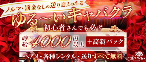 club Cardine(カルディネ)【公式出稼ぎ求人情報】(草加キャバクラ)の求人・バイト・体験入店情報