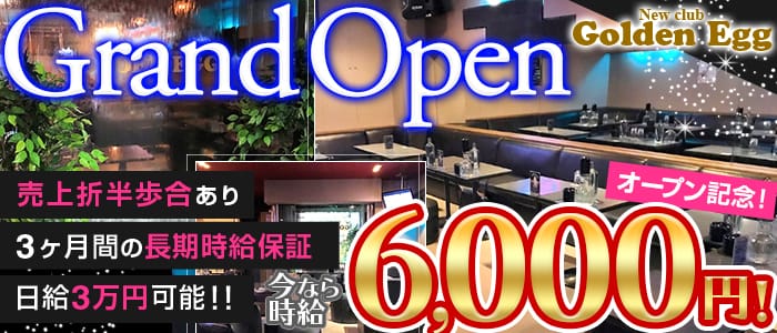 New Club Golden Egg ゴールデンエッグ 公式求人 体入情報 新所沢 キャバクラ 公式求人 キャバクラ求人なら 体入ショコラ