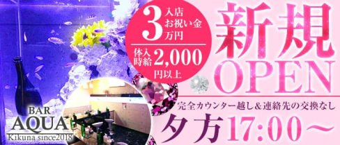 AQUA Girl's Bar菊名店(アクアガールズバー)【公式求人情報】(菊名ガールズバー)の求人・バイト・体験入店情報