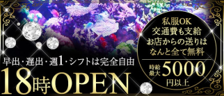 パームアイランド【公式求人情報】