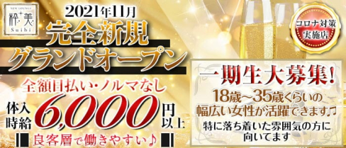 New lounge 粋美(スイビ)【公式求人・体入情報】(千葉キャバクラ)の求人・体験入店情報